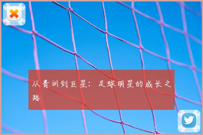 从青训到巨星：足球明星的成长之路