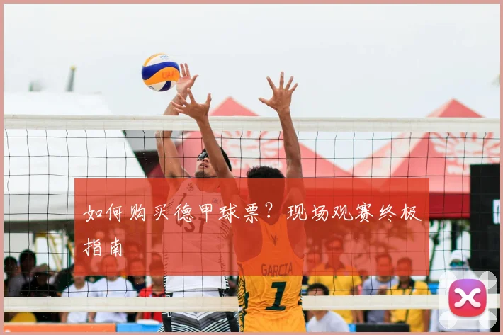 如何购买德甲球票?现场观赛终极指南