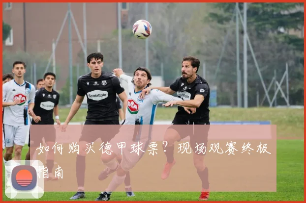 如何购买德甲球票?现场观赛终极指南